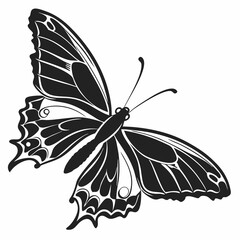 butterfly silhouette black vector