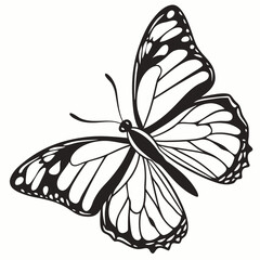 butterfly silhouette black vector