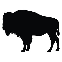 vector illustration of a buffalo