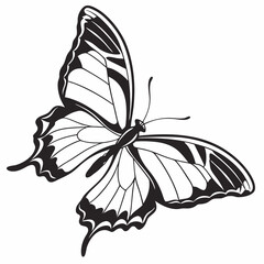 butterfly silhouette black vector