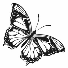 butterfly silhouette black vector