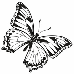 butterfly silhouette black vector