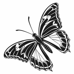 butterfly silhouette black vector