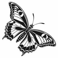 butterfly silhouette black vector