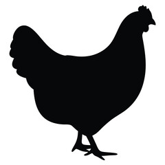 vector illustration of a chicken