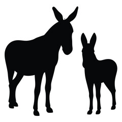 donkey isolated on white background