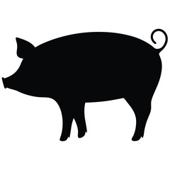 vector illustration of a black pig
