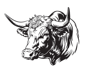 Cow bull head sketch hand drawn engraving style Vector illustration