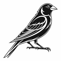 Canary black silhouette icon vector