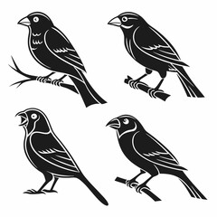 canary icon set black silhouette vector