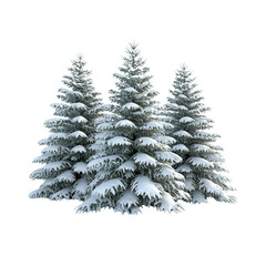 Fototapeta premium Snow-covered evergreen trees against a dark background.