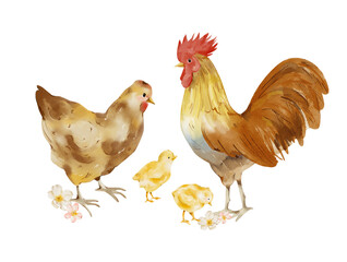 Watercolor Rooster, Hen, and Chickens Family Illustration: Farm Animals Art for Design, Colorful Rooster, Hen and Yellow Chickens, Ideal for Spring and Summer Projects, Easter Clipart