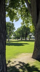 Obraz premium Sunny parkland for green lawn, shady trees.