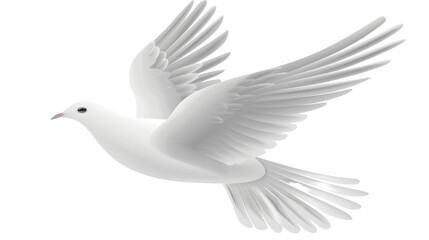 Obraz premium White dove flying with open wings on transparent background