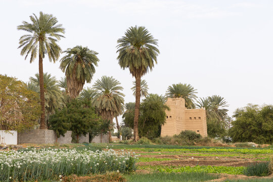 Beautiful landscape in the surroundings of Najran in Saudi Arabia