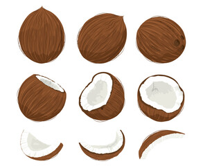 Coconut set. Hand drawn whole and broken coconuts. Coconut day 2 September.