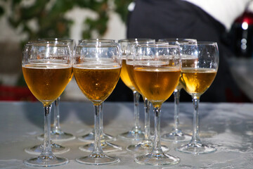 group of fresh, golden beer glasses on the bar counter ready to serve.