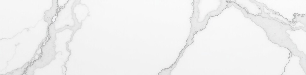 Subtle white marble background with intricate veining,  elegant,  abstract