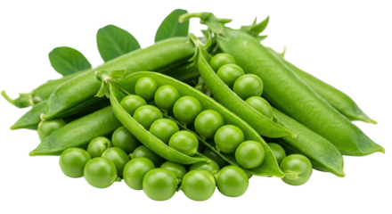 Isolated Fresh Green Peas and Pods