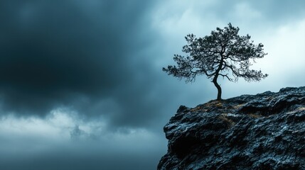 Lone tree standing on rocky cliff against dramatic cloudy sky during twilight in natural landscape scenery