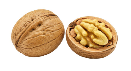 Isolated Walnut Whole and Halved