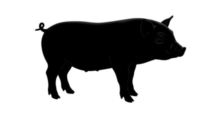 Isolated Black Pig Silhouette