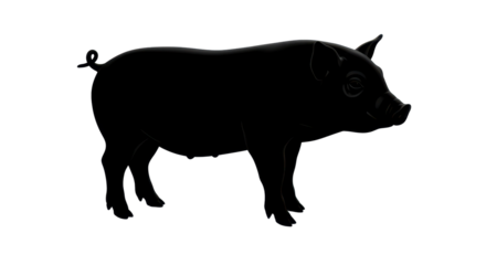 Isolated Black Pig Silhouette