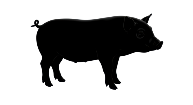 Isolated Black Pig Silhouette