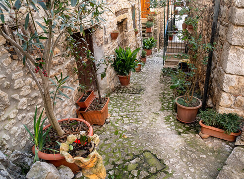 a charming little stone alleyway with numerous flowerpots and plants on either side