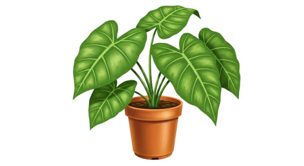 Isolated Green Houseplant