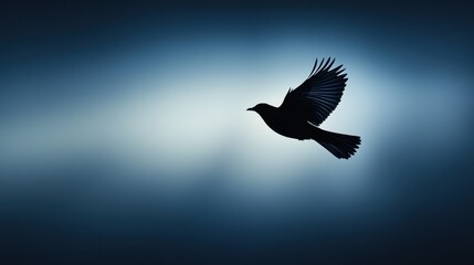 Fototapeta premium Majestic Silhouette of a Bird in Flight Against a Soft Blue Background with a Tranquil Atmosphere