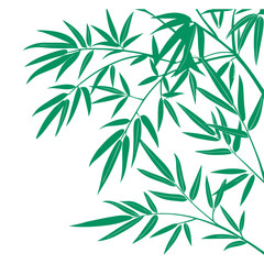 Fototapeta premium Bamboo leaves vector design illustration