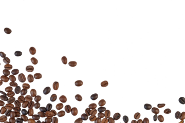 coffee beans frame border isolated on white or transparent png