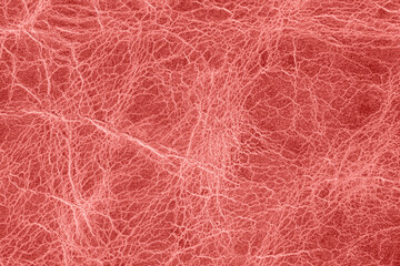 Red cracked leather texture with intricate vein like patterns, organic wrinkles. For backgrounds, fashion design, luxury materials. Leather texture, expressive wrinkles, organic pattern, macro view
