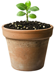 Terracotta pot with soil and seedling isolated on transparent background.