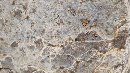 Texture of the surface of the stone. Abstract background for design. Selective focus