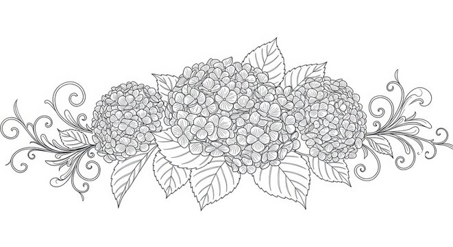 black and white hydrangea floral design clip art preview
