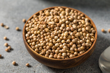 Dry Organic Indian Coriander Seeds