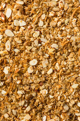 Homemade Organic Dry Almond Granola