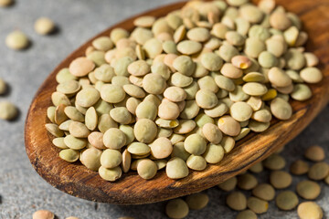 Dry Raw Organic Green Lentils