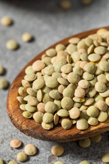 Dry Raw Organic Green Lentils