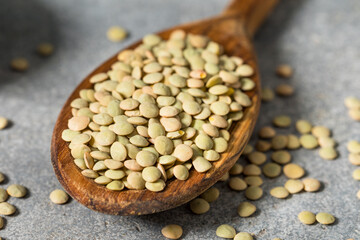 Dry Raw Organic Green Lentils