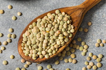 Dry Raw Organic Green Lentils