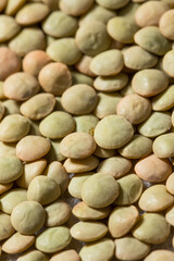 Dry Raw Organic Green Lentils
