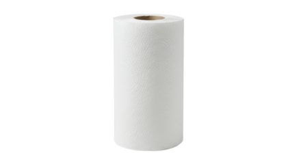 Isolated Embossed White Paper Towel Roll