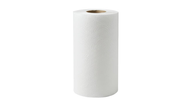 Isolated Embossed White Paper Towel Roll