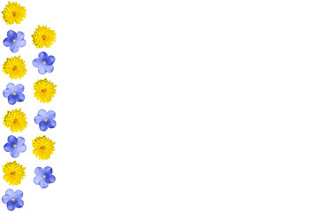 Barra de flores amarillas y azules