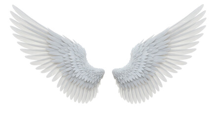 Isolated Pair of White Angel Wings