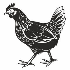 Chicken silhouette black vector