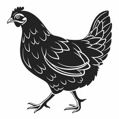 Chicken silhouette black vector